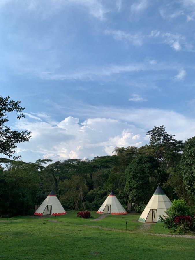 Bosque De Aventura & Glamping Refugio Del Bosque Hotel La Mesa  Exterior foto