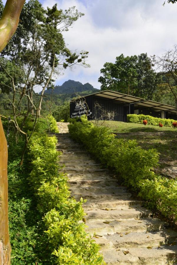 Bosque De Aventura & Glamping Refugio Del Bosque Hotel La Mesa  Exterior foto