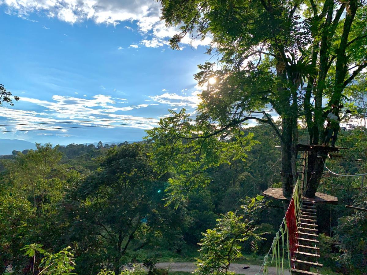 Bosque De Aventura & Glamping Refugio Del Bosque Hotel La Mesa  Exterior foto